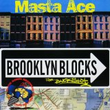 画像: MASTA ACE / BROOKLYN BLOCKS