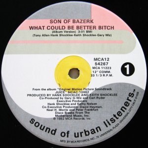 画像: SON OF BAZERK / WHAT COULD BE BETTER BITCH