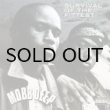 画像: MOBB DEEP / SURVIVAL OF THE FITTEST