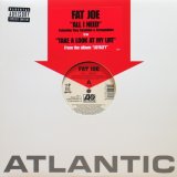 画像: Fat Joe / All I Need feat. Tony Sunshine & Armageddon 