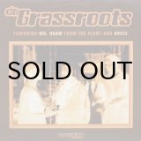 画像: Da Grassroots - Thematics / Price Of Livin' 