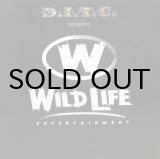 画像: DITC Presents: WILD LIFE ENTERTAINMENT