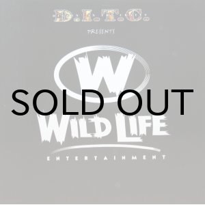 画像: DITC Presents: WILD LIFE ENTERTAINMENT